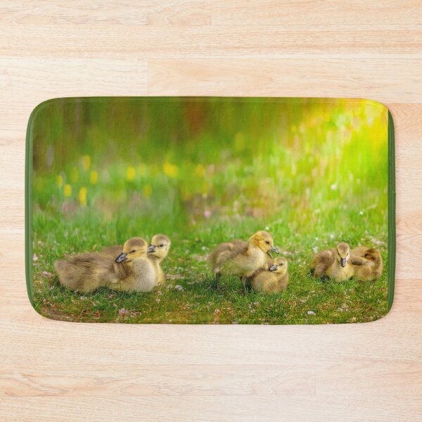 Item preview,  Ducklings  designed and sold by LudaNayvelt.