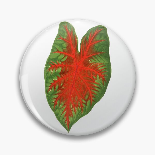 Item preview, Caladium Bicolor designed and sold by Carocas20.