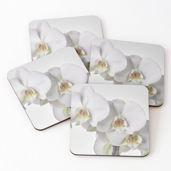Item preview, White Phalaenopsis all white designed and sold by Jouko Lehto Photography.