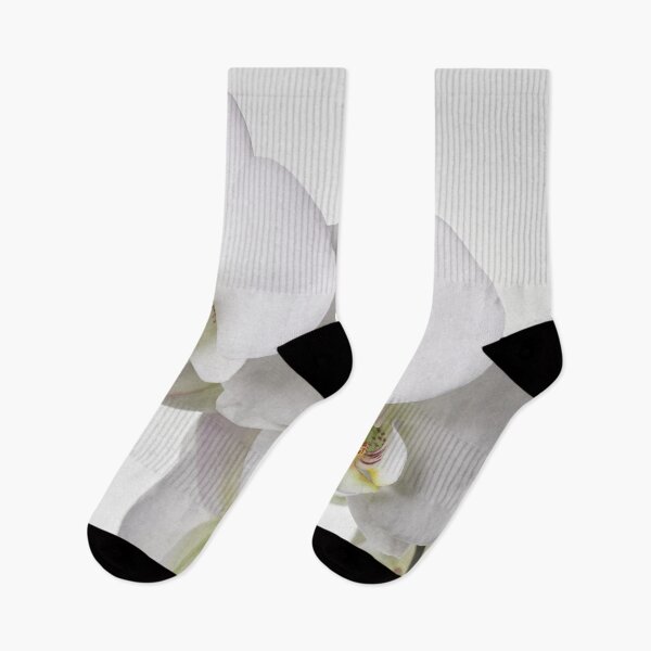 Item preview, White Phalaenopsis all white designed and sold by Jouko Lehto Photography.