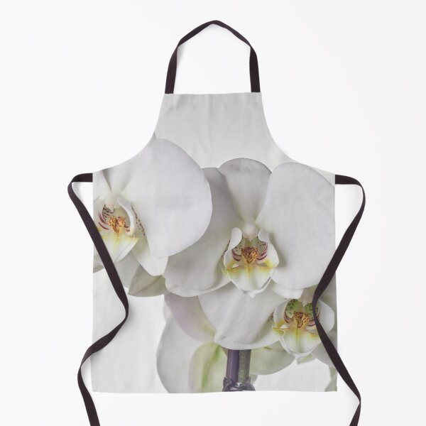 Item preview, White Phalaenopsis all white designed and sold by Jouko Lehto Photography.