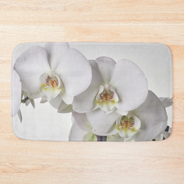 Item preview, White Phalaenopsis all white designed and sold by Jouko Lehto Photography.