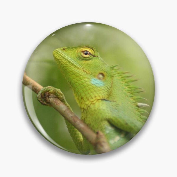 Item preview, Green Chameleon on the Branch designed and sold by raksin.
