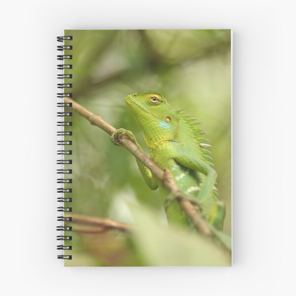Item preview, Green Chameleon on the Branch designed and sold by raksin.