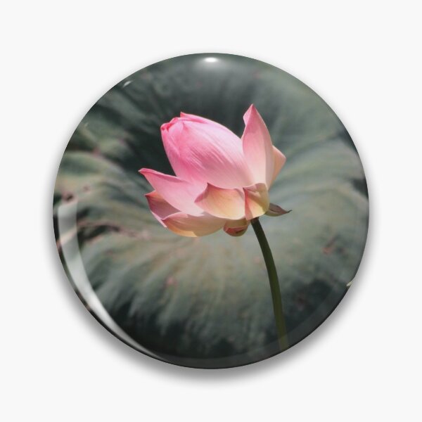 Item preview, Lotus - 1 designed and sold by raksin.