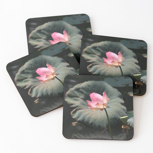 Item preview, Lotus - 1 designed and sold by raksin.