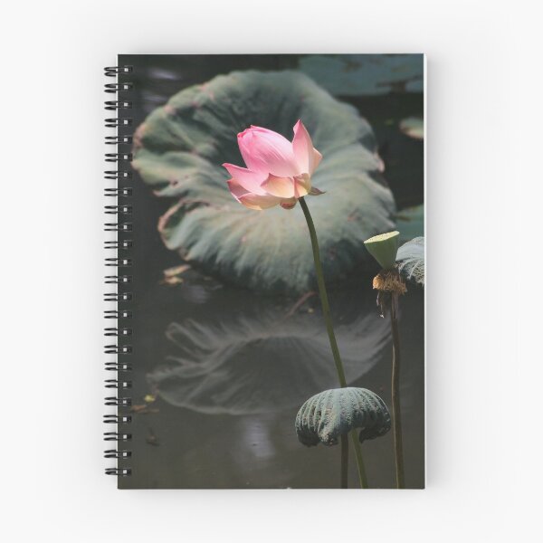 Item preview, Lotus - 1 designed and sold by raksin.