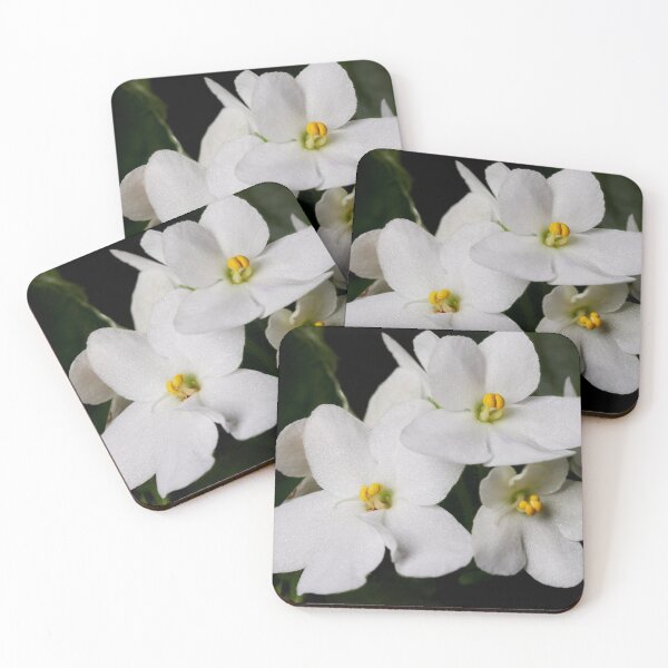 Item preview, Saintpaulia white 2 designed and sold by Jouko Lehto Photography.
