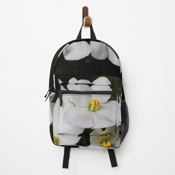 Item preview, Saintpaulia white 2 designed and sold by Jouko Lehto Photography.