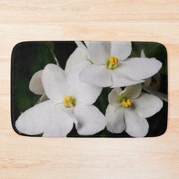 Item preview, Saintpaulia white 2 designed and sold by Jouko Lehto Photography.