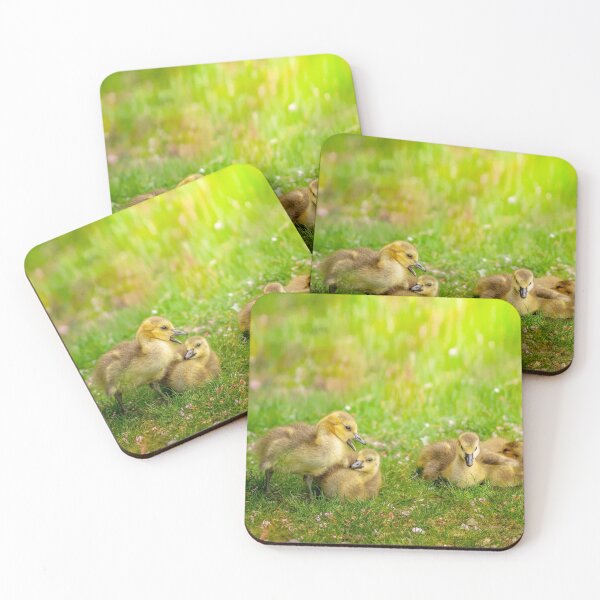 Item preview,  Ducklings  designed and sold by LudaNayvelt.