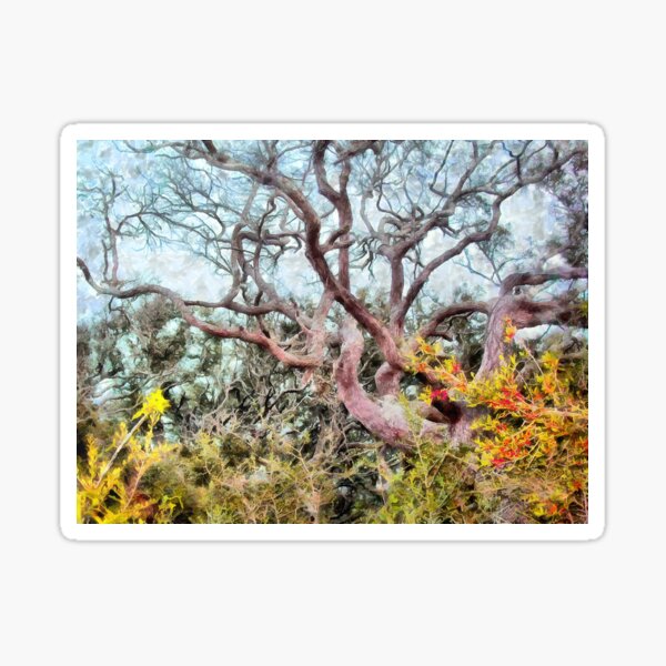 Item preview, Jekyll Island Live Oak Tree Canopy designed and sold by SeaChangeDesign.
