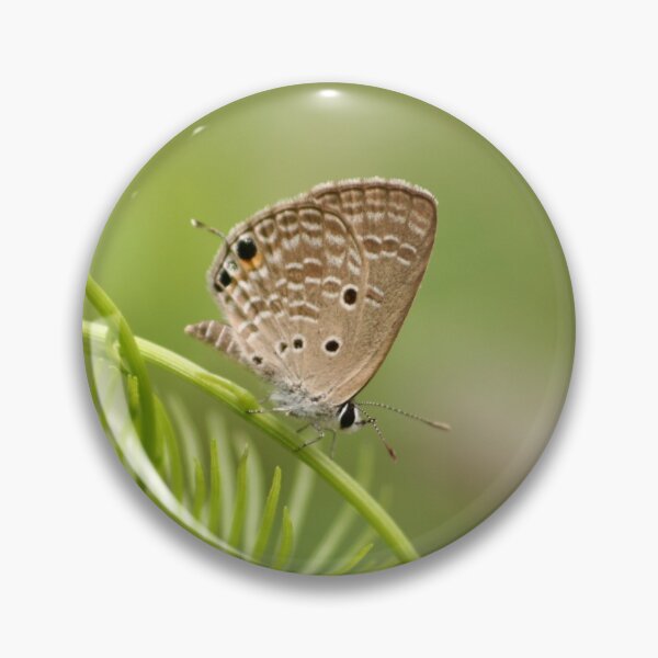 Item preview, Butterfly designed and sold by raksin.