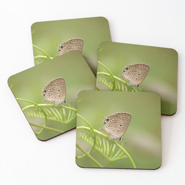 Item preview, Butterfly designed and sold by raksin.