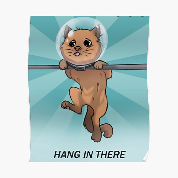 hang in there cat targets