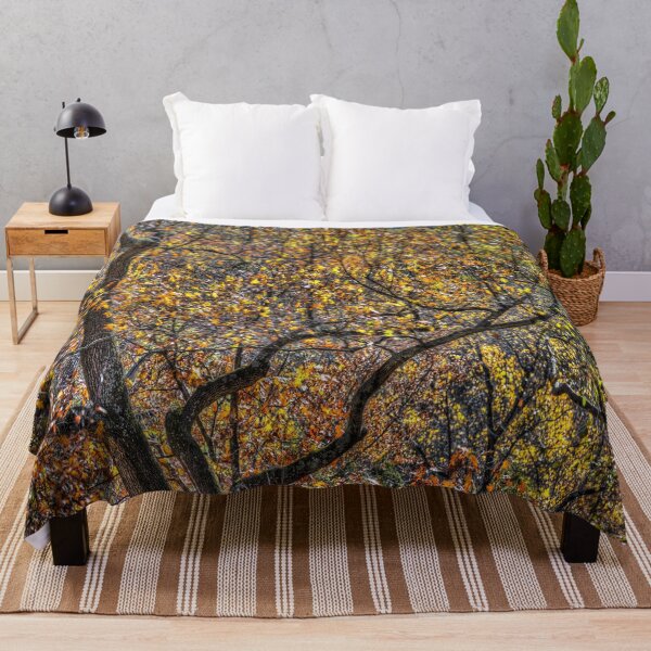 Item preview, Sleepy Hollow Autumn Colours designed and sold by Londonimages.
