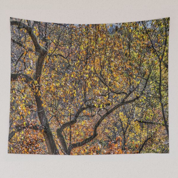 Item preview, Sleepy Hollow Autumn Colours designed and sold by Londonimages.