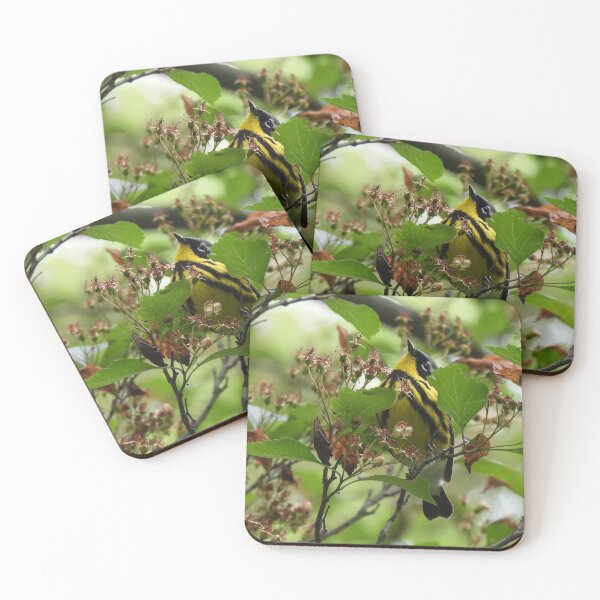Item preview, Peekaboo! (Magnolia warbler) designed and sold by UpTowardTheSky.