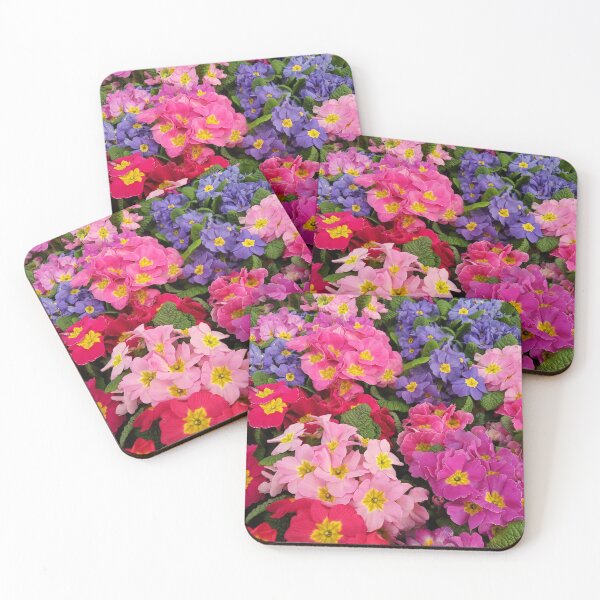 Item preview, Colorful Springtime Medley of Primula Flowers designed and sold by walkswithnature.