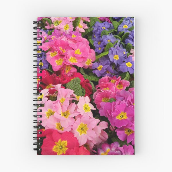 Item preview, Colorful Springtime Medley of Primula Flowers designed and sold by walkswithnature.