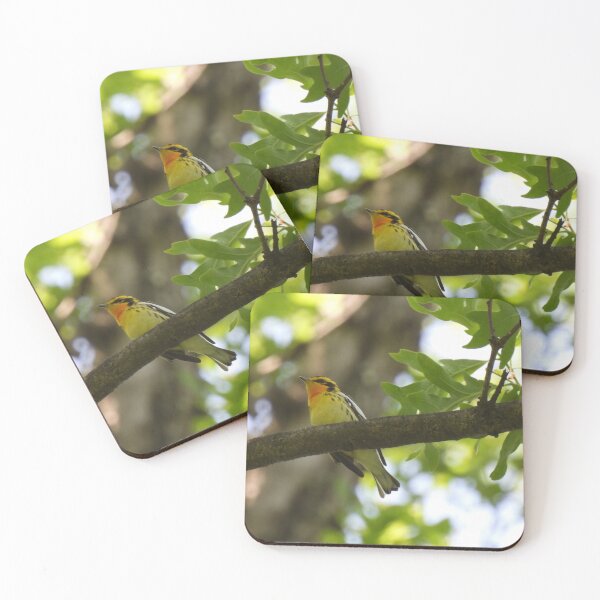 Item preview, Look up! (Blackburnian warbler) designed and sold by UpTowardTheSky.