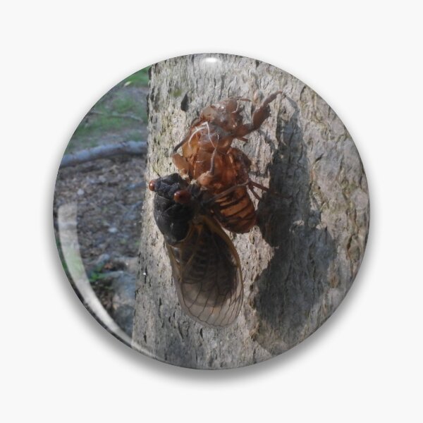 Item preview, Let go! (2021 Brood X cicada) designed and sold by UpTowardTheSky.