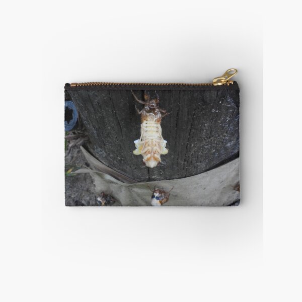 Item preview, Emerge! (2021 Brood X cicadas) designed and sold by UpTowardTheSky.