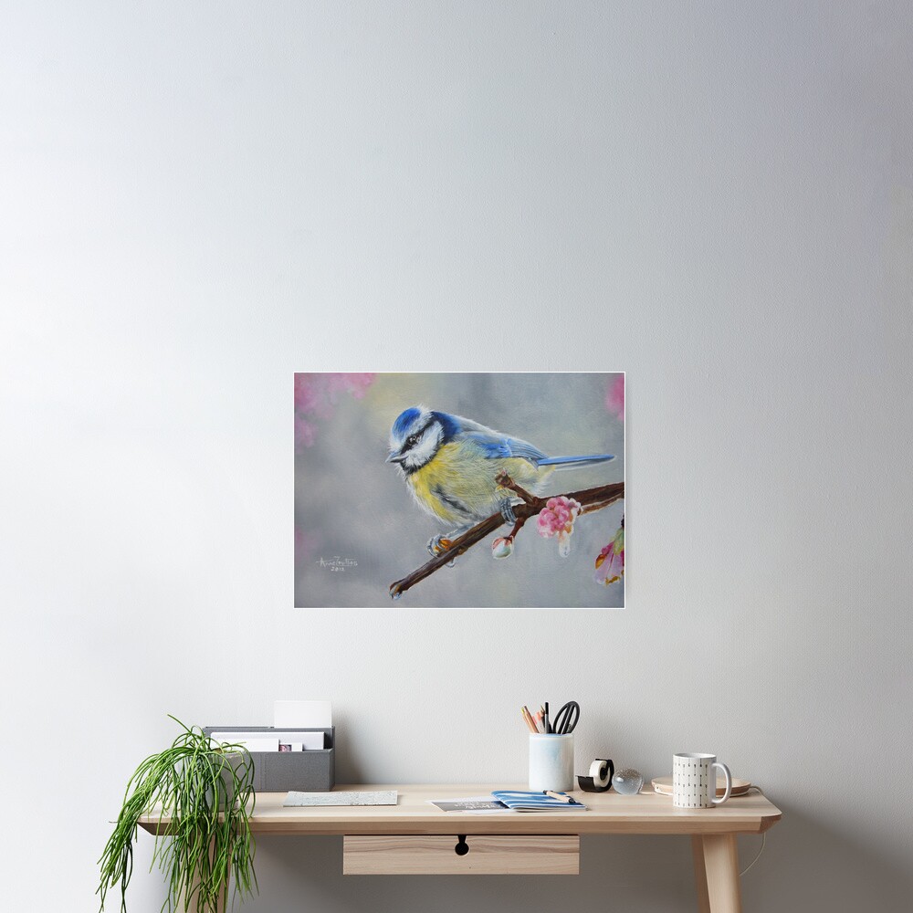 Blue Tit with Blossom Poster