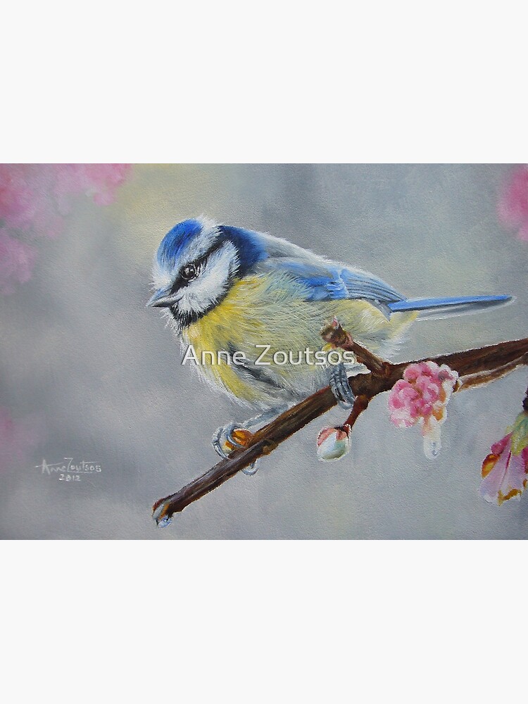 Blue Tit with Blossom by AnneZ