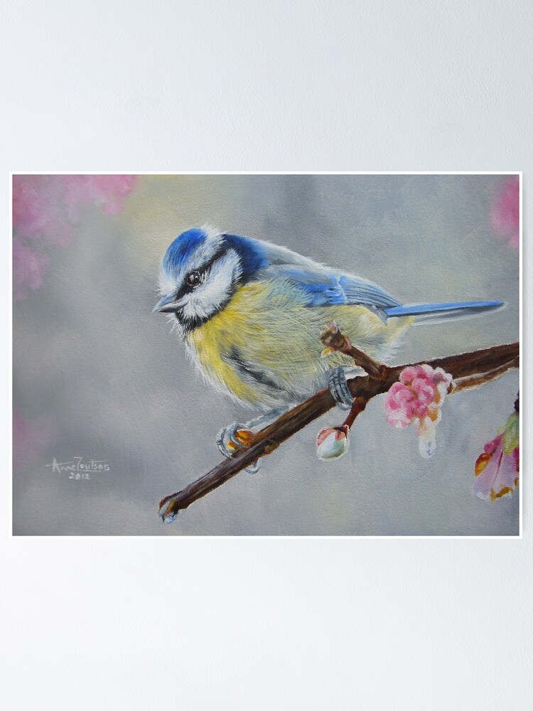 Alternate view of Blue Tit with Blossom Poster