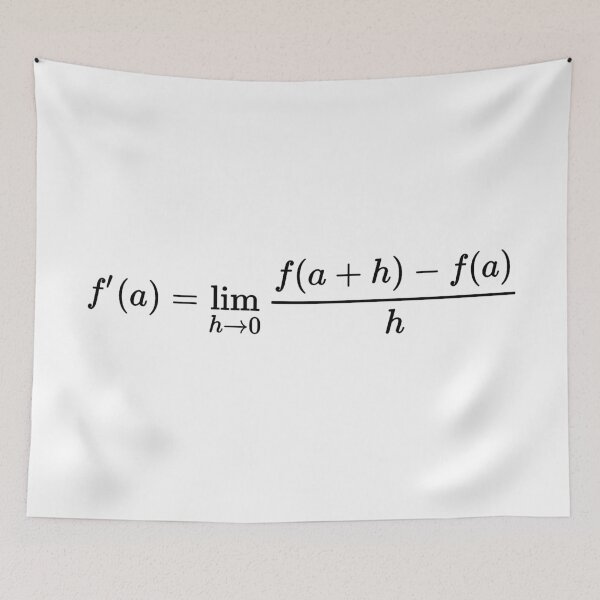 Item preview, definition of the derivative, math basics designed and sold by NoetherSym.