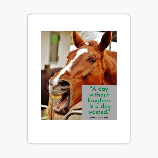 Produits Sur Le Theme Cheval Qui Rit Redbubble