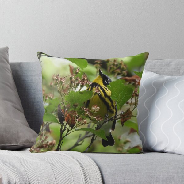 Item preview, Peekaboo! (Magnolia warbler) designed and sold by UpTowardTheSky.