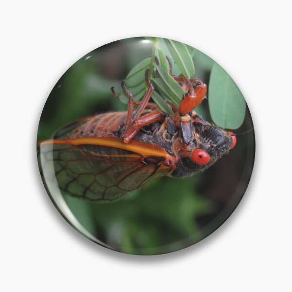 Item preview, Big Red (Brood X cicada) designed and sold by UpTowardTheSky.