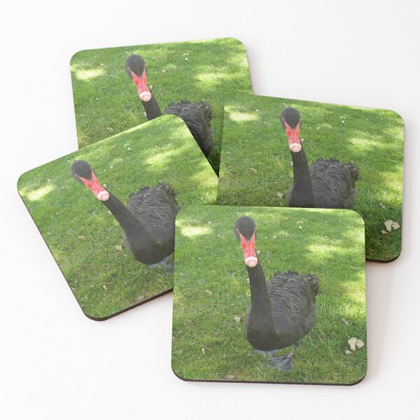 Item preview, Black Swan designed and sold by KaSaPo.