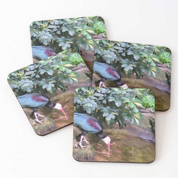 Item preview, Southern bald ibis designed and sold by bertsworks300.