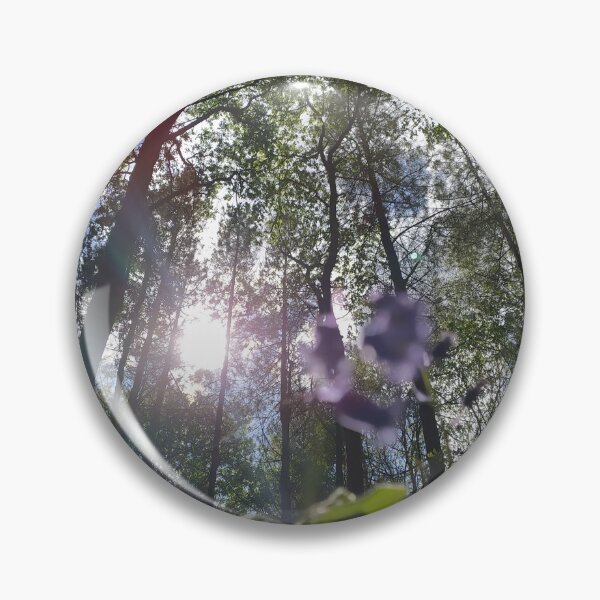 Item preview, Bluebells looking up towards the sun's rays in Sulham Woods, Tilehurst, Reading designed and sold by Sanscapes.