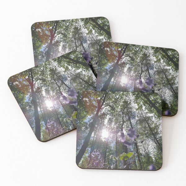 Item preview, Bluebells looking up towards the sun's rays in Sulham Woods, Tilehurst, Reading designed and sold by Sanscapes.