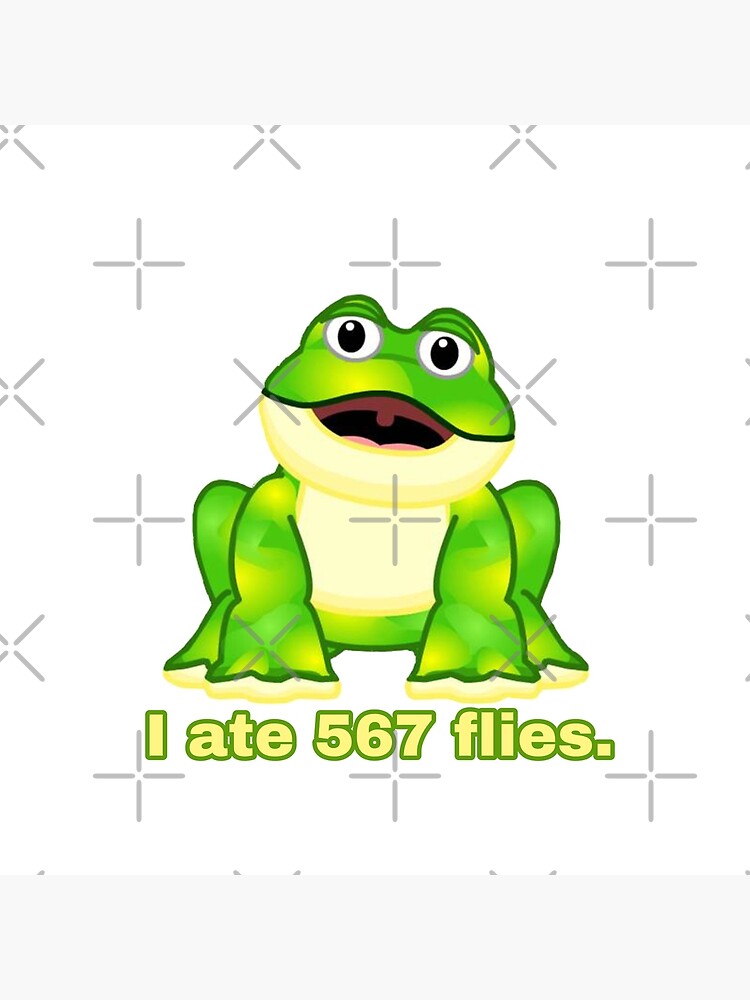 Webkinz frog i ate 567 flies meme