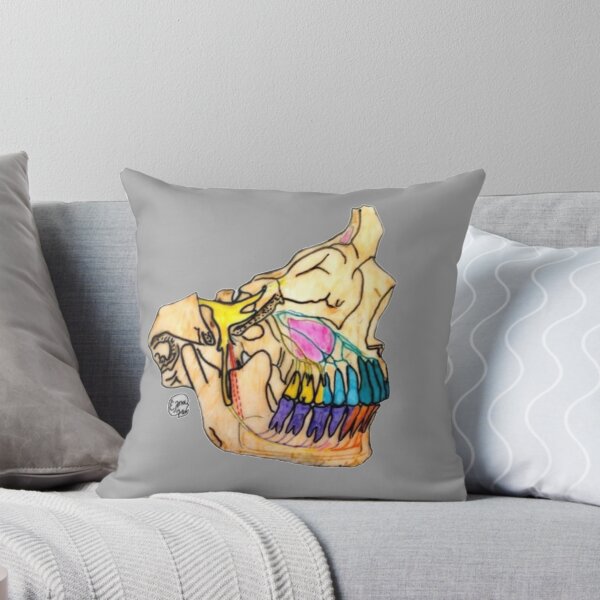 Item preview, Sensory Innervation of the Upper and Lower Jaw designed and sold by Arte Del Cuerpo Humano.
