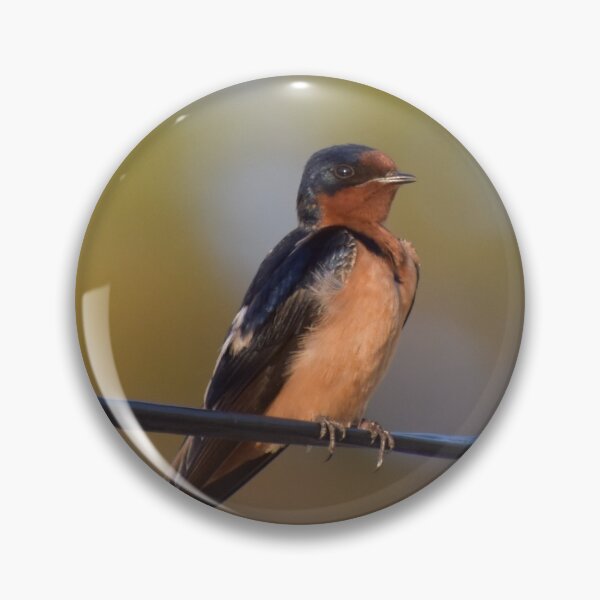 Item preview, Barn Swallow  designed and sold by Tonia Delozier's Photography .