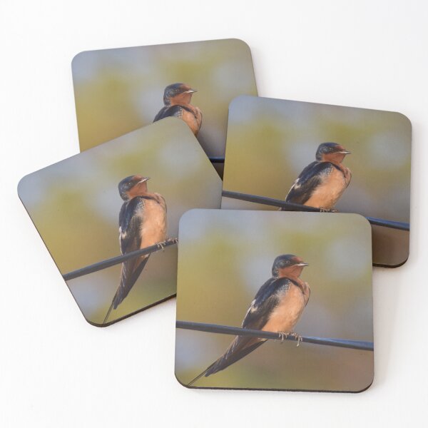 Item preview, Barn Swallow  designed and sold by Tonia Delozier's Photography .