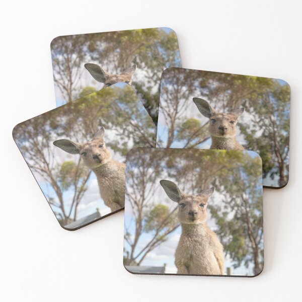 Item preview, Roo designed and sold by terryhewitt.