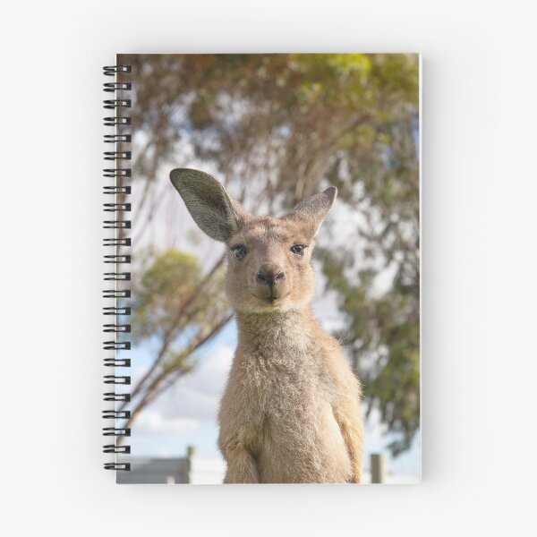 Item preview, Roo designed and sold by terryhewitt.