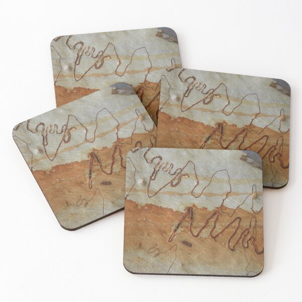 Item preview, Scribbly Gum, Eucalyptus haemastoma. Scribbles made by scribbly gum moth larvae. designed and sold by Cobargo South Coast.