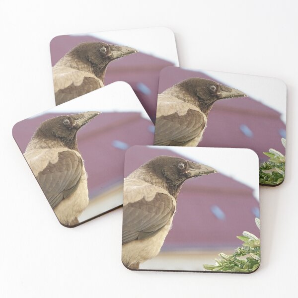 Item preview, Young crow comes to visit designed and sold by Babbler01.