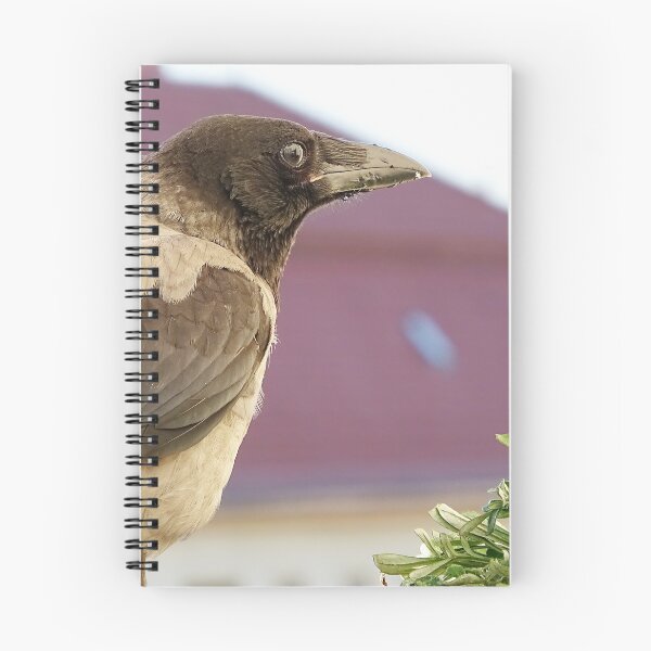 Item preview, Young crow comes to visit designed and sold by Babbler01.