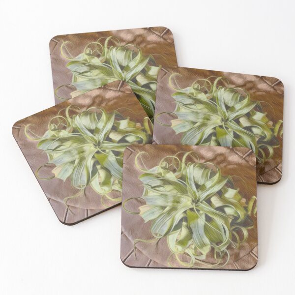Item preview, Air Plant designed and sold by Madelyn Paige.