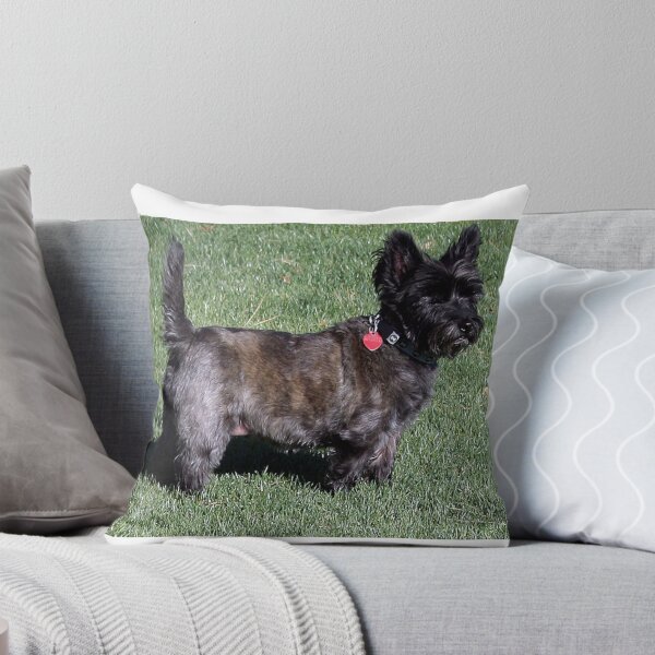 Item preview, SWEETPEE THE CAIRN TERRIER AKA TOTO designed and sold by JAYMILO.