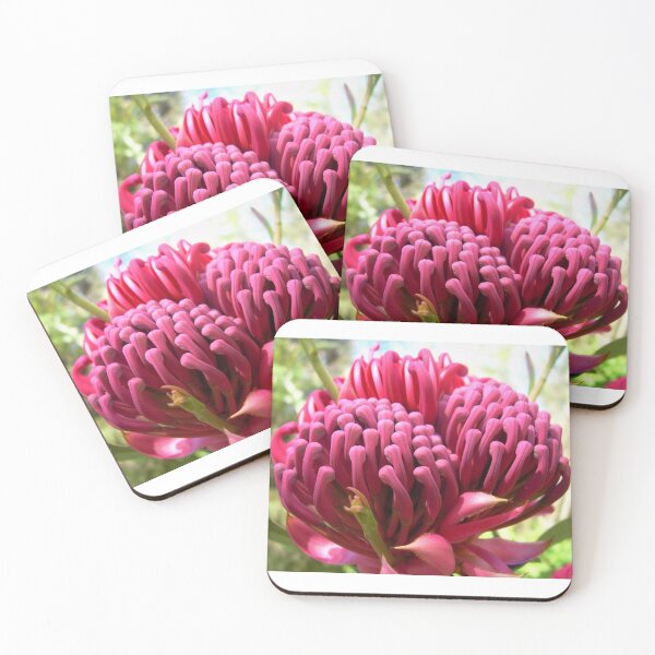Item preview, Waratah Flower, Telopea. NSW, Australia designed and sold by Cobargo South Coast.